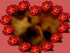 Photo-0070e.jpg, 14 KB